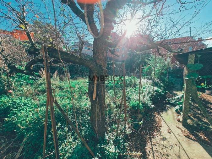 Terreno para Venda em Paranhos Foto 27