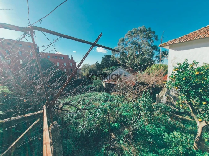 Terreno para Venda em Paranhos Foto 24