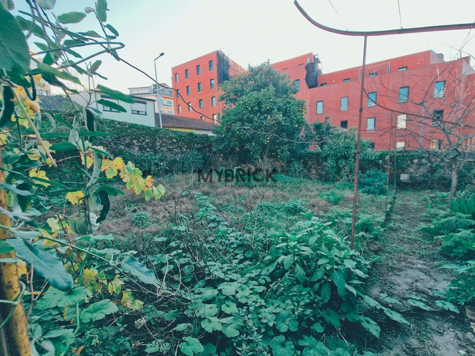 Terreno para Venda em Paranhos Foto 4