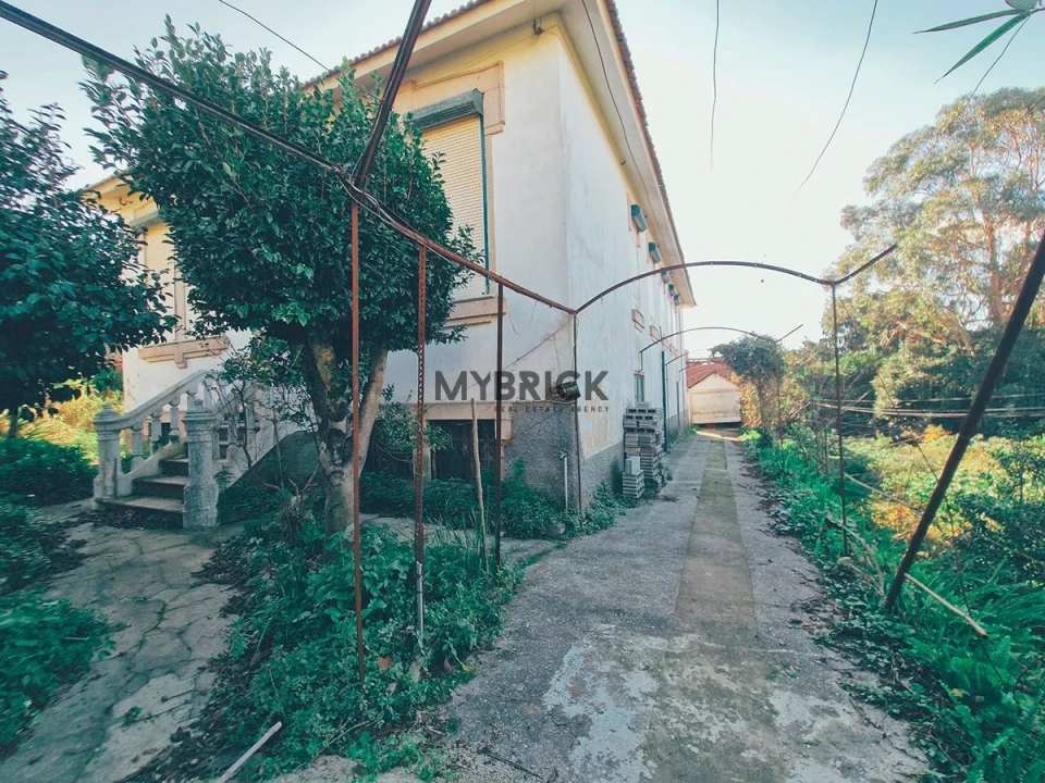 Terreno para Venda em Paranhos Foto 9