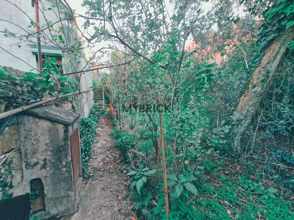 Terreno para Venda em Paranhos Foto 13