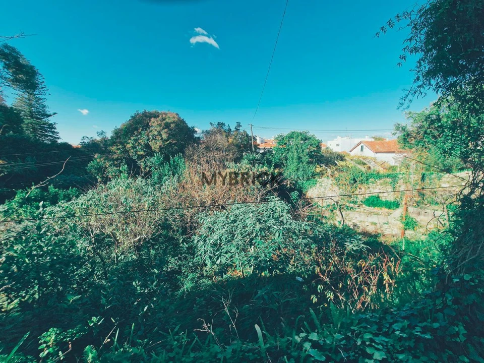 Terreno para Venda em Paranhos Foto 21