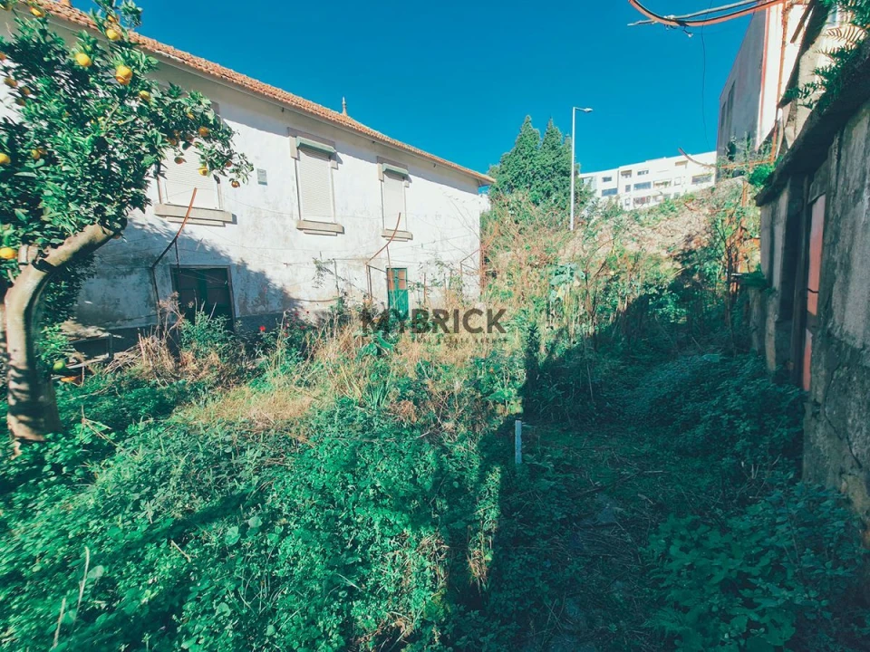 Terreno para Venda em Paranhos Foto 20