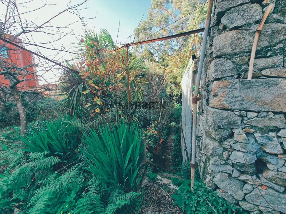 Terreno para Venda em Paranhos Foto 19