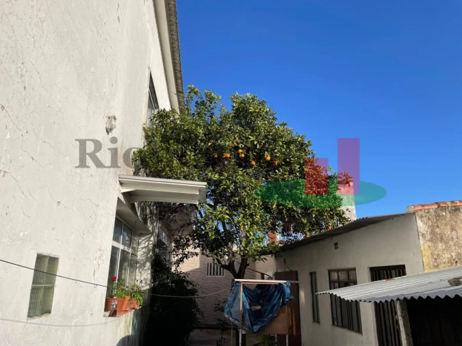 Moradia T4 para Venda em Rio Maior Foto 48