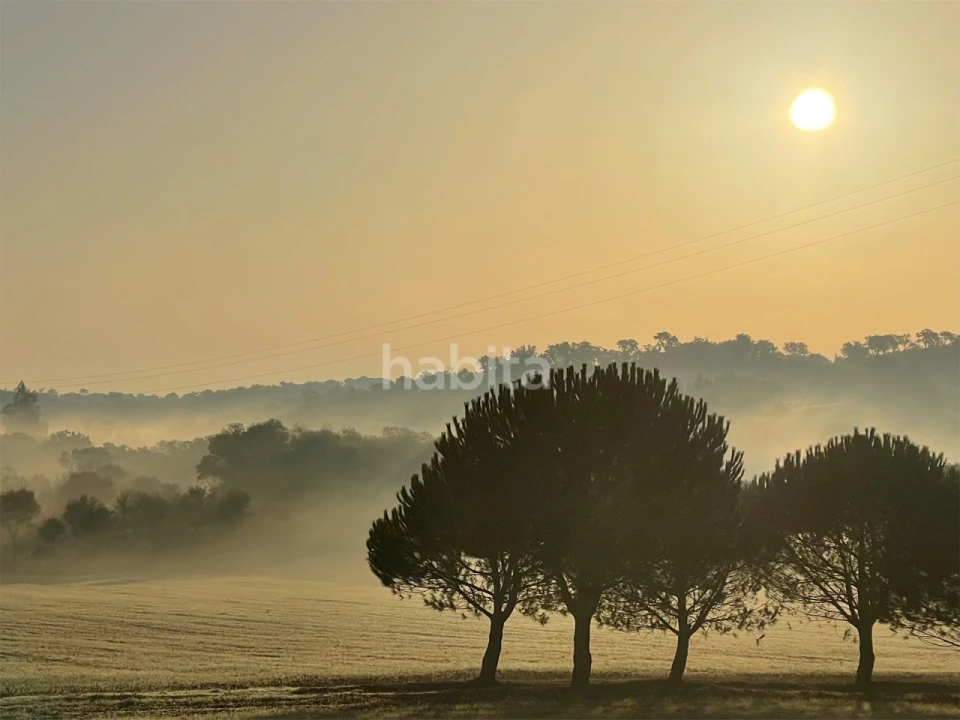 Quinta T2 para Venda em Cercal Foto 14