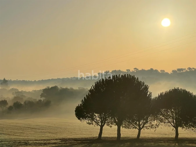 Quinta T2 para Venda em Cercal Foto 14
