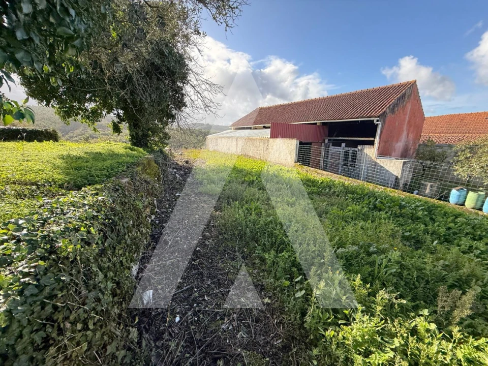 Terreno para Venda em Arrabal Foto 11