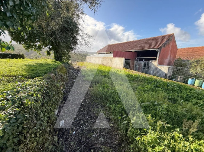 Terreno para Venda em Arrabal Foto 11