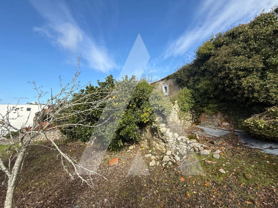 Moradia T2 para Venda em São Mamede Foto 21