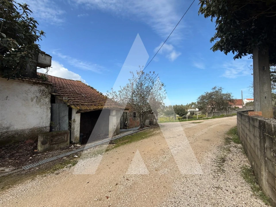 Moradia T2 para Venda em São Mamede Foto 32