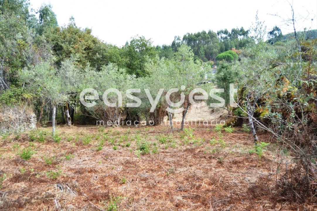 Moradia T2 para Venda em Igreja Nova do Sobral Foto 3