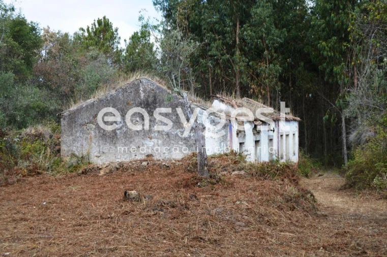 Moradia T2 para Venda em Igreja Nova do Sobral Foto 2