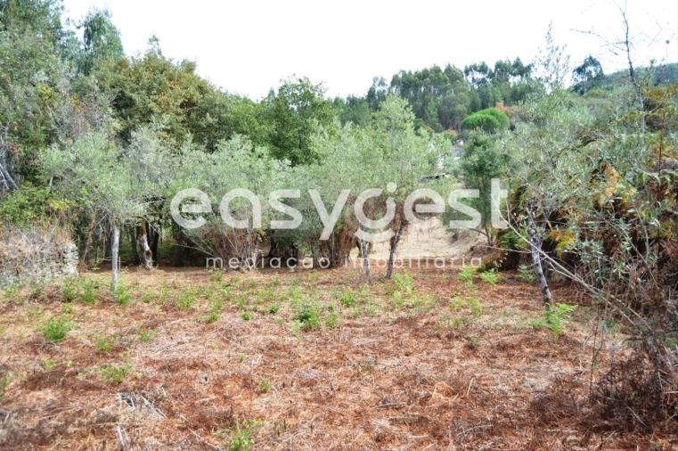 Moradia T2 para Venda em Igreja Nova do Sobral Foto 3