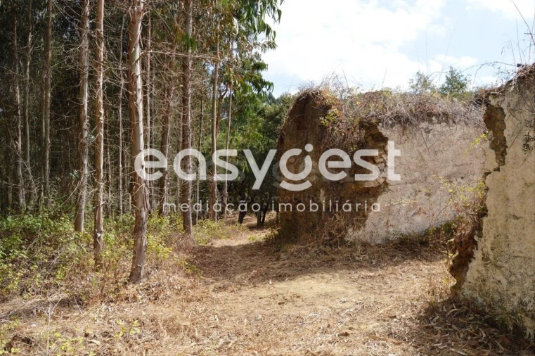 Moradia T2 para Venda em Igreja Nova do Sobral Foto 5