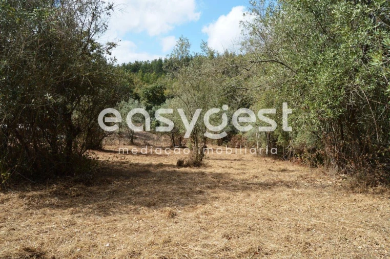 Moradia T2 para Venda em Igreja Nova do Sobral Foto 8