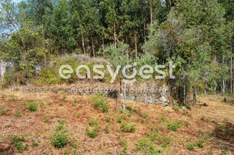 Moradia T2 para Venda em Igreja Nova do Sobral Foto 14