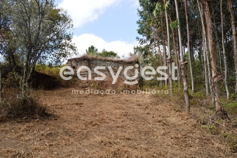 Moradia T2 para Venda em Igreja Nova do Sobral Foto 17