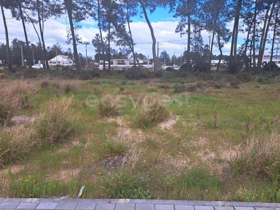 Terreno para Venda em Quinta do Anjo Foto 4