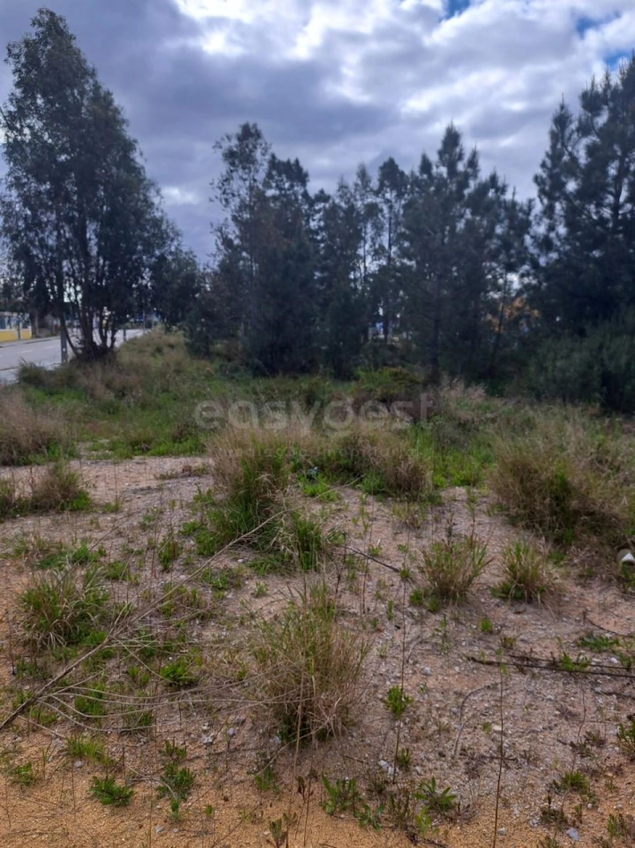Terreno para Venda em Quinta do Anjo Foto 7