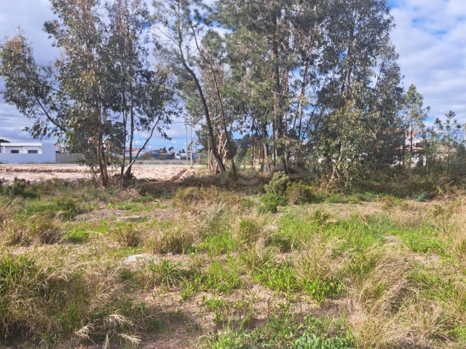 Terreno para Venda em Quinta do Anjo