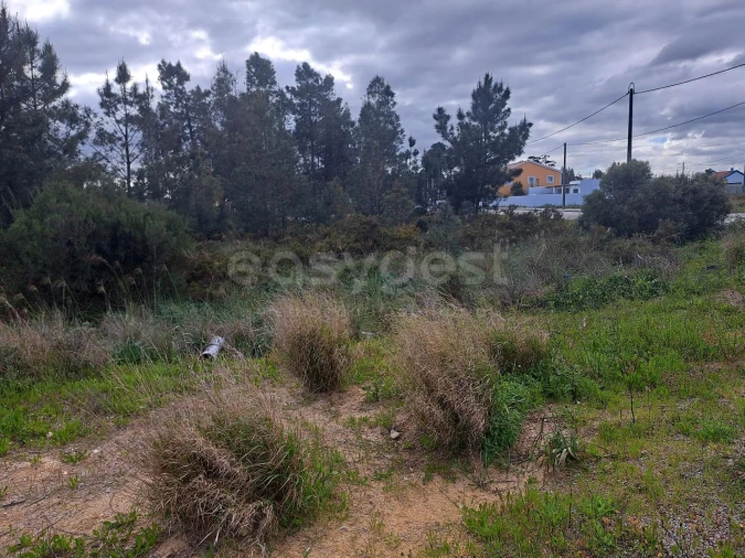Terreno para Venda em Quinta do Anjo Foto 9
