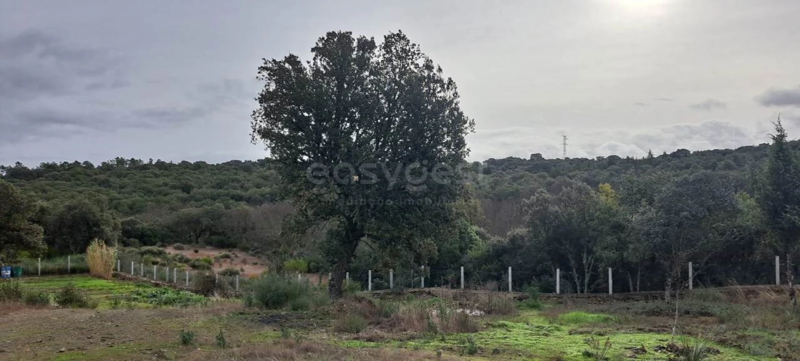 Terreno para Venda em Vale da Madre Foto 13
