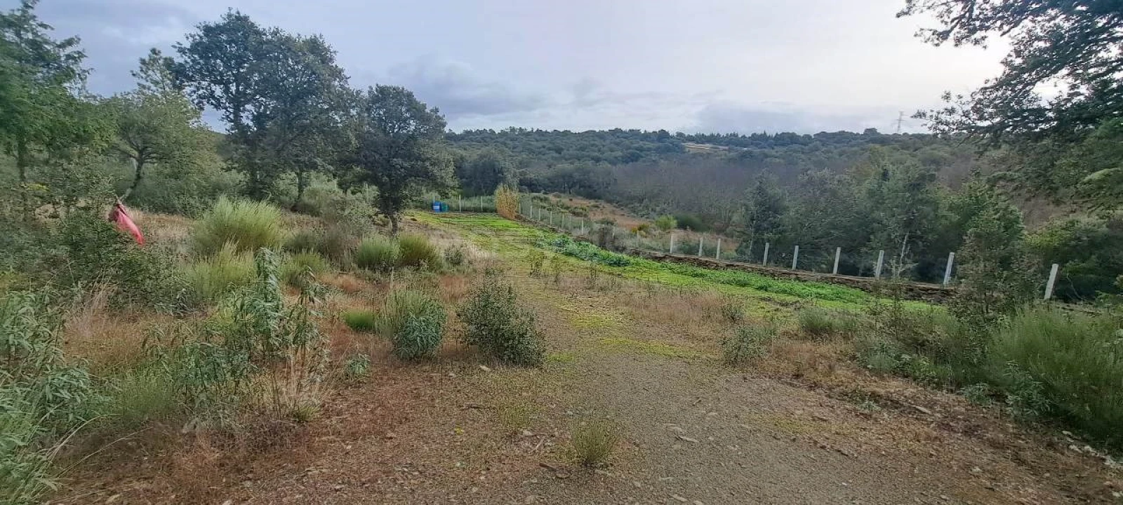 Terreno para Venda em Vale da Madre Foto 14