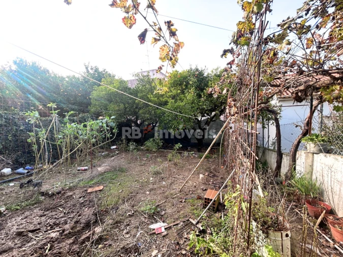 Moradia T3 para Venda em Torres Novas (Santa Maria, Salvador e Santiago) Foto 23