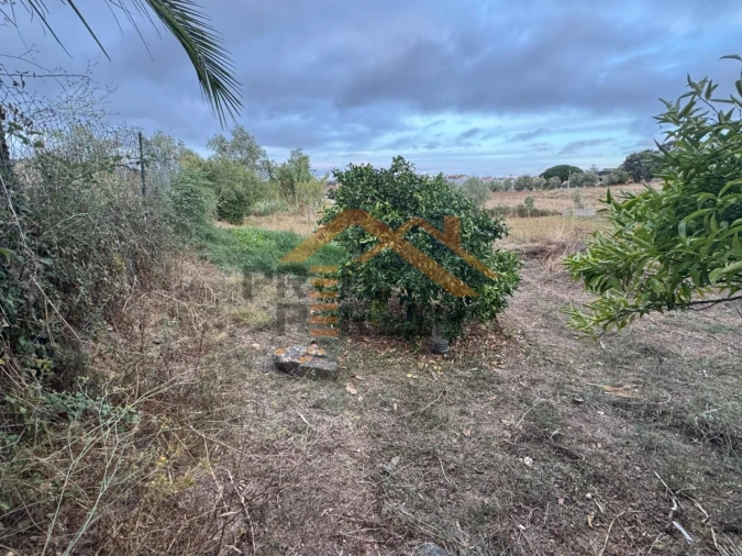 Terreno para Venda em Ramada e Caneças Foto 2