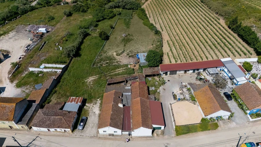 Moradia T4 para Venda em Ventosa Foto 33