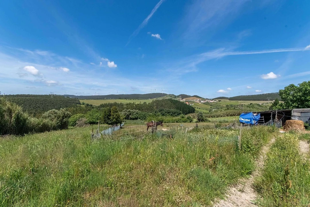 Moradia T4 para Venda em Ventosa Foto 15