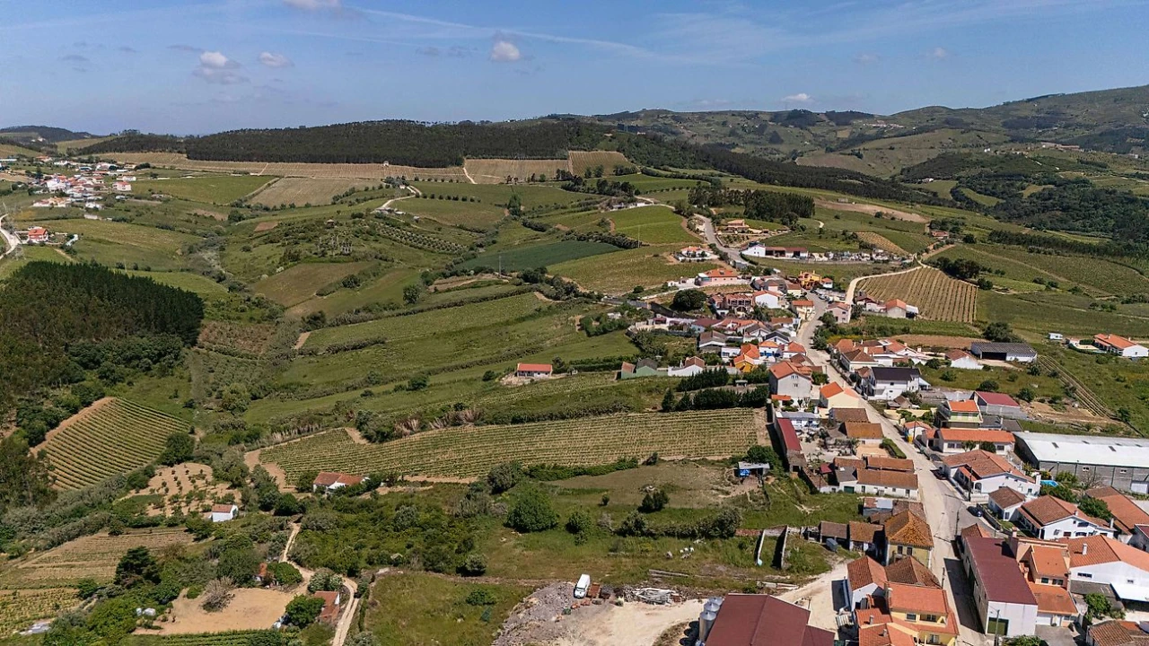 Moradia T4 para Venda em Ventosa Foto 42