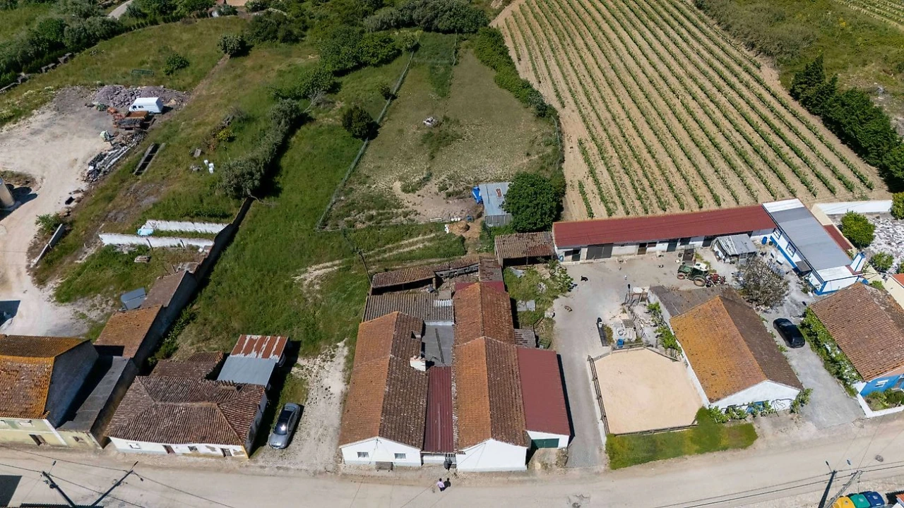 Moradia T4 para Venda em Ventosa Foto 33