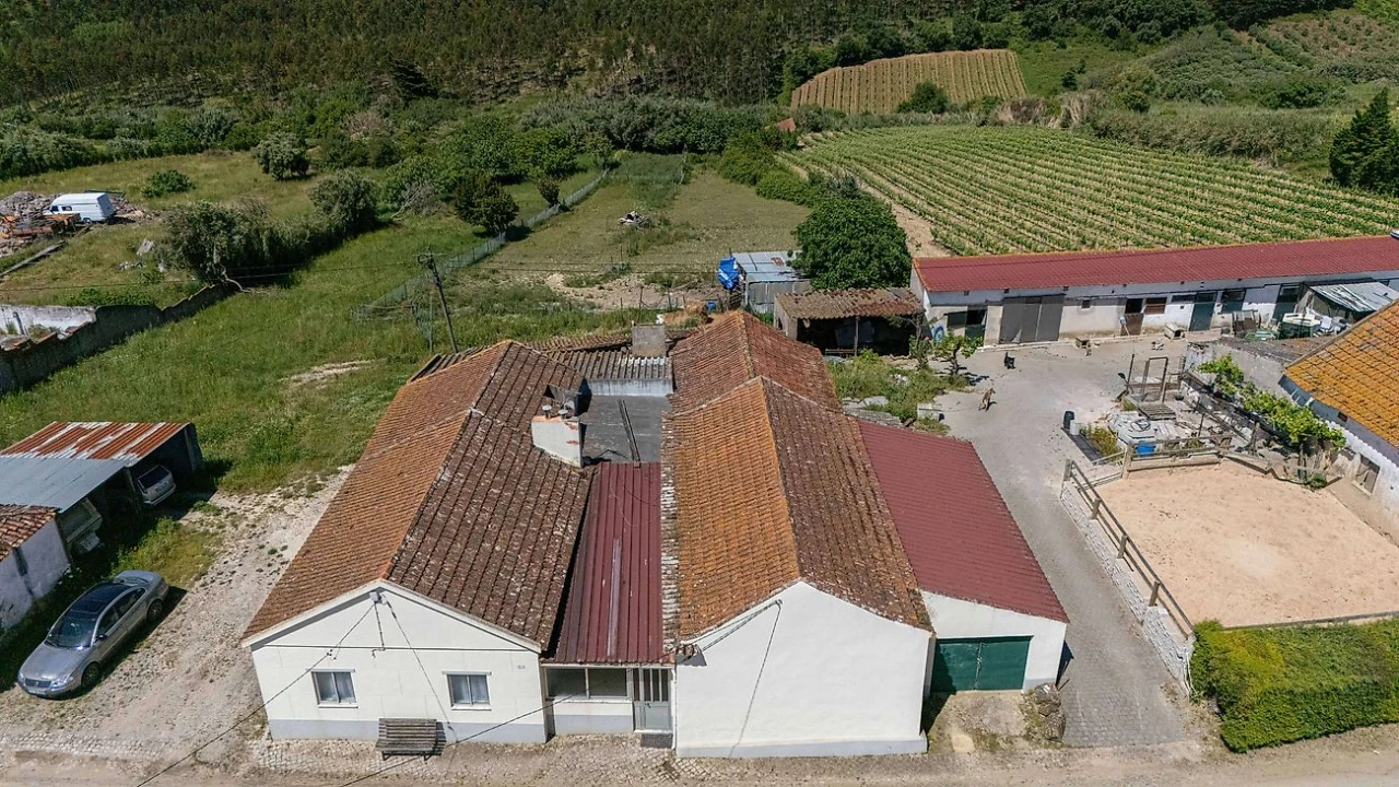 Moradia T4 para Venda em Ventosa Foto 32