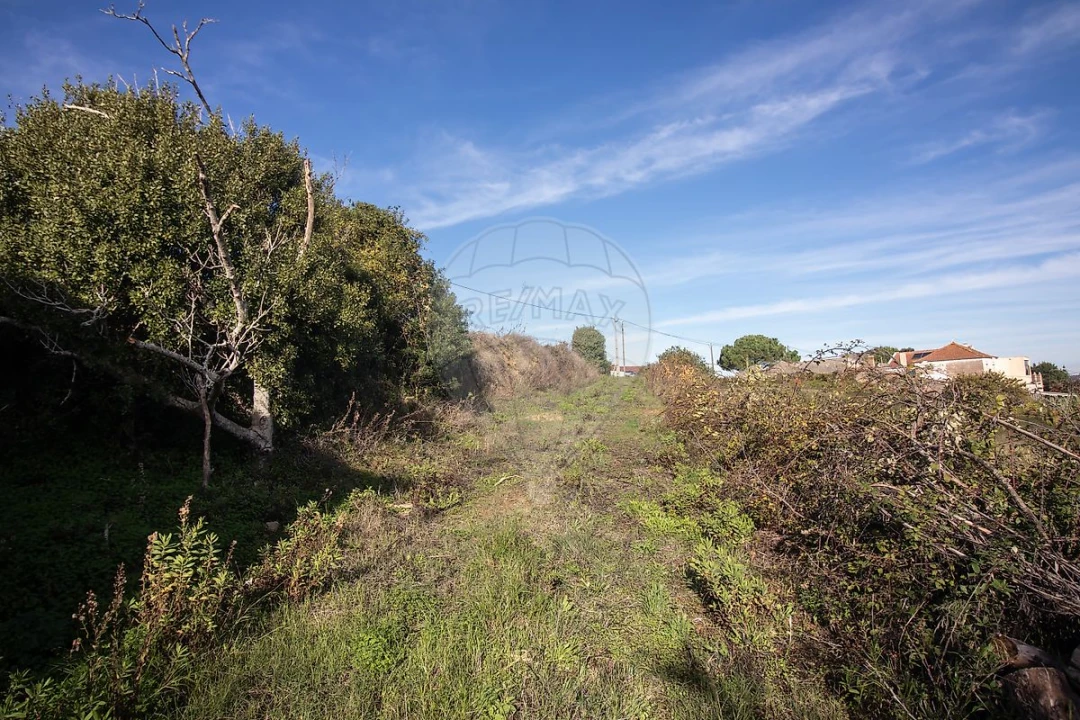Moradia T3 para Venda em Alenquer (Santo Estêvão e Triana) Foto 21