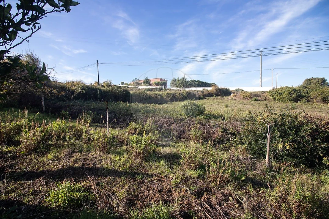 Moradia T3 para Venda em Alenquer (Santo Estêvão e Triana) Foto 35