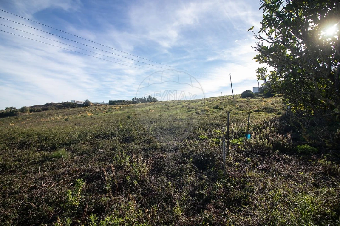 Moradia T3 para Venda em Alenquer (Santo Estêvão e Triana) Foto 31