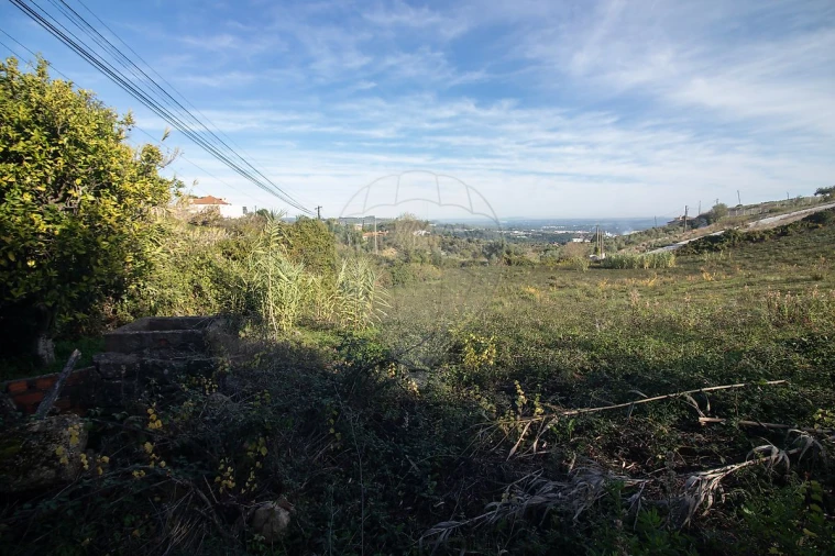 Moradia T3 para Venda em Alenquer (Santo Estêvão e Triana) Foto 26