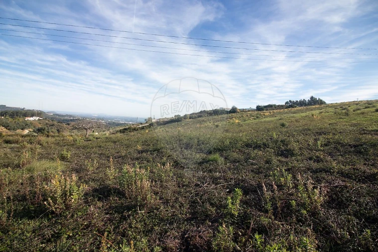 Moradia T3 para Venda em Alenquer (Santo Estêvão e Triana) Foto 30