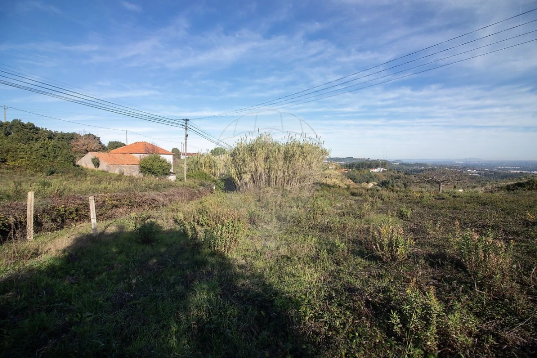 Moradia T3 para Venda em Alenquer (Santo Estêvão e Triana) Foto 5