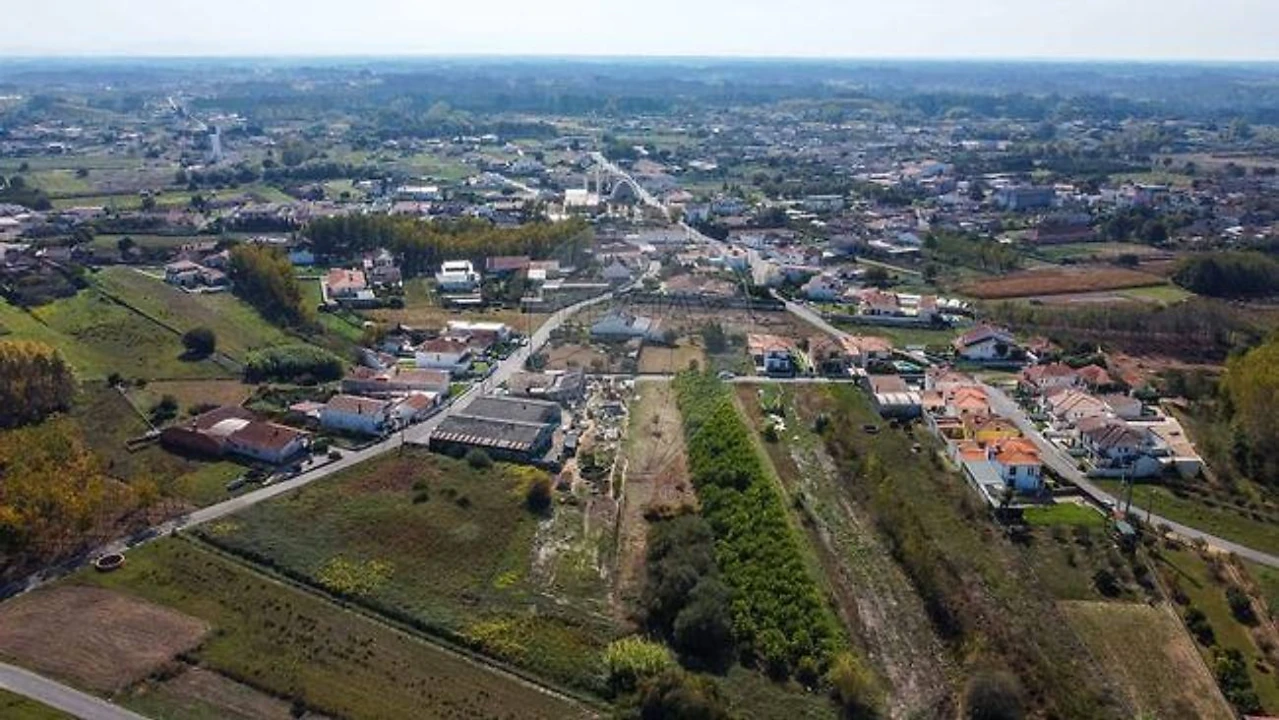 Terreno para Venda em Bustos, Troviscal e Mamarrosa Foto 2