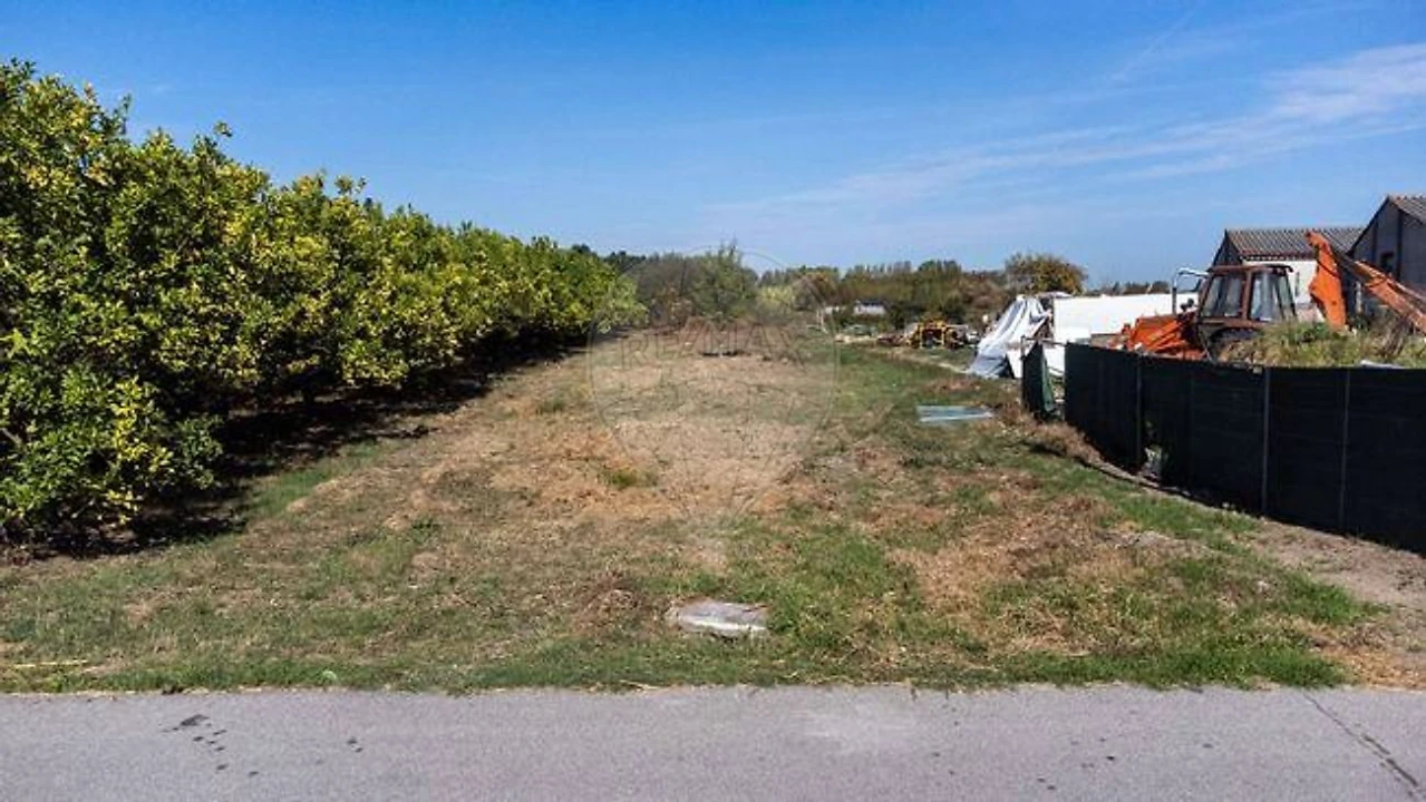 Terreno para Venda em Bustos, Troviscal e Mamarrosa Foto 3