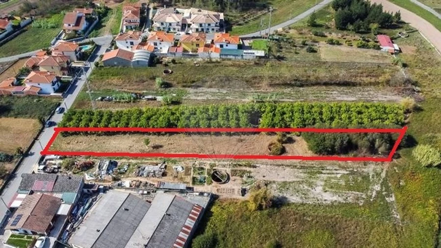 Terreno para Venda em Bustos, Troviscal e Mamarrosa