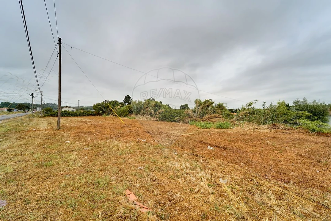 Terreno para Venda em Arcos e Mogofores Foto 6
