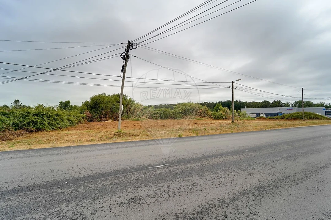 Terreno para Venda em Arcos e Mogofores Foto 4
