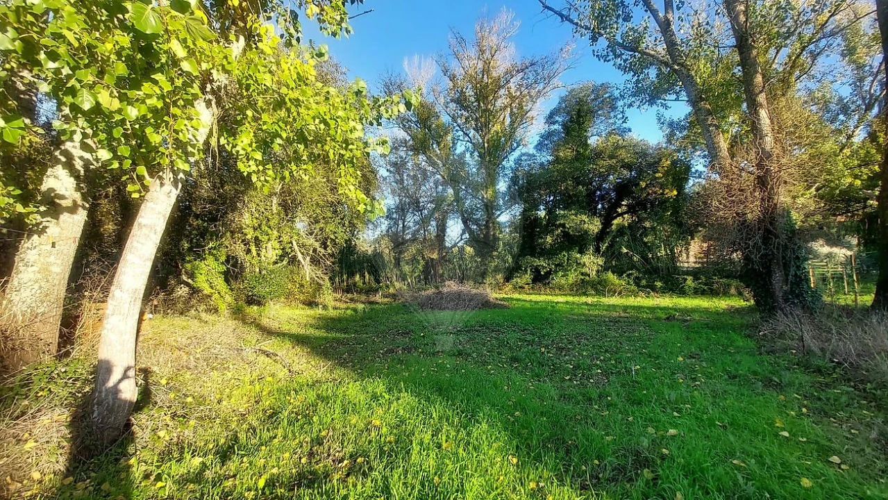 Terreno para Venda em Arrouquelas Foto 11