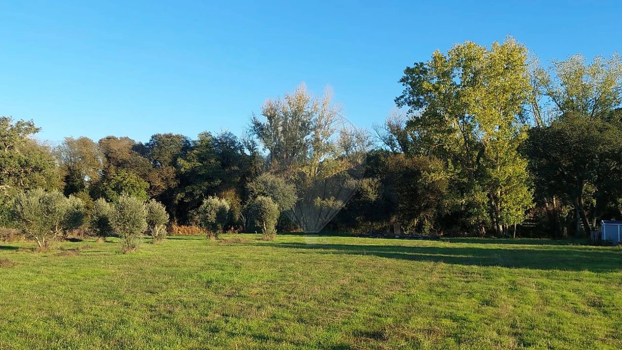 Terreno para Venda em Arrouquelas Foto 1