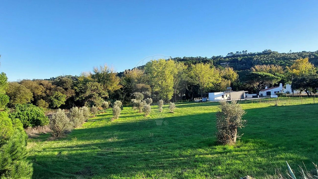 Terreno para Venda em Arrouquelas Foto 15