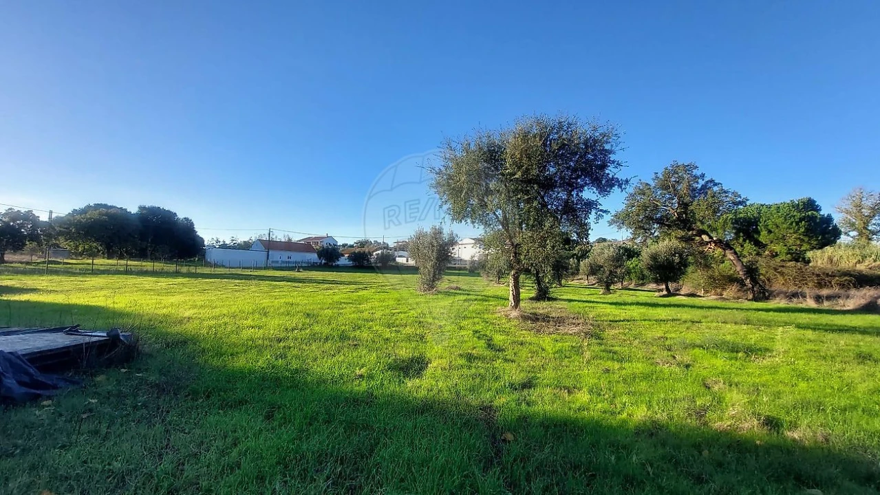 Terreno para Venda em Arrouquelas Foto 8